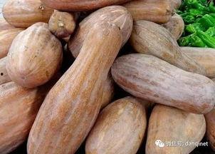 方瓜南瓜怎么吃,探索美味与营养的完美结合