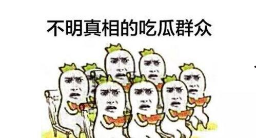 热心吃瓜围观群众,揭秘娱乐圈幕后故事