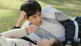 洛枳吃瓜,揭秘娱乐圈背后的秘密与真相