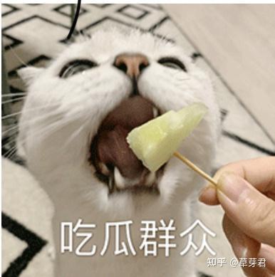 吃瓜社会现象,揭秘网络时代的围观文化现象